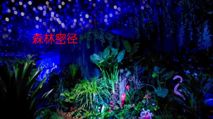 逃出猫头鹰屋